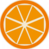 橙子百科app